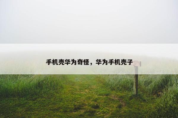 手机壳华为奇怪，华为手机壳子
