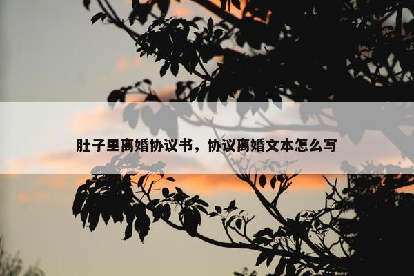 肚子里离婚协议书，协议离婚文本怎么写