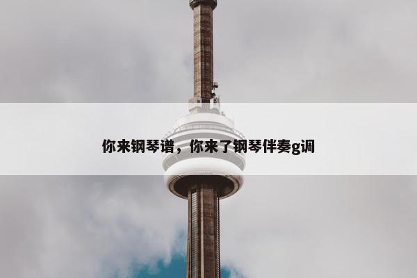你来钢琴谱，你来了钢琴伴奏g调