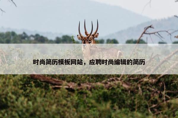 时尚简历模板网站,应聘时尚编辑的简历 时尚简历模板网站,应聘时尚编辑的简历