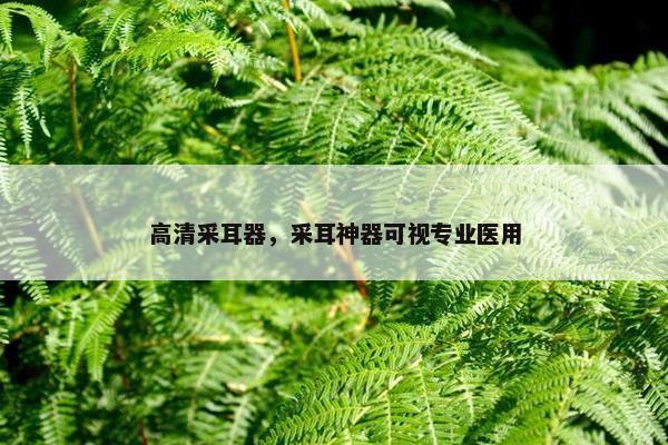 高清采耳器,采耳神器可视专业医用 高清采耳器,采耳神器可视专业医用