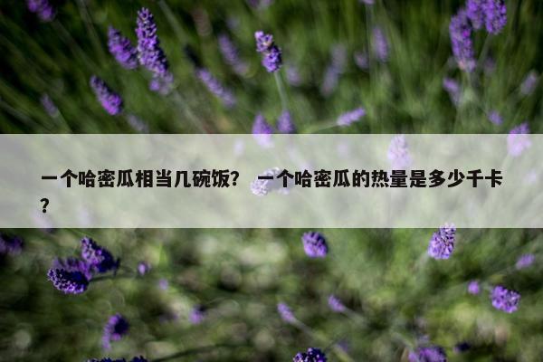 一个哈密瓜相当几碗饭? 一个哈密瓜的热量是多少千卡? 一个哈密瓜相当几碗饭? 一个哈密瓜的热量是多少千卡?