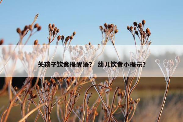 关孩子饮食提醒语? 幼儿饮食小提示? 关孩子饮食提醒语? 幼儿饮食小提示?