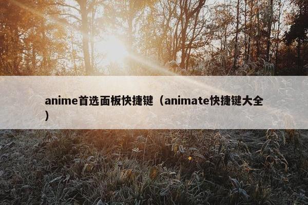 anime首选面板快捷键（animate快捷键大全）