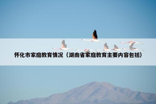 怀化市家庭教育情况（湖南省家庭教育主要内容包括）