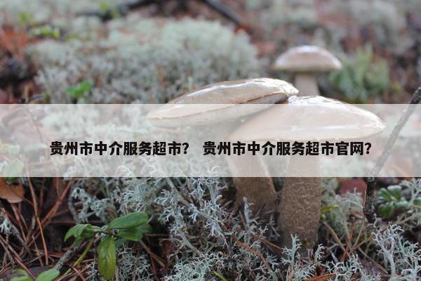 贵州市中介服务超市? 贵州市中介服务超市官网? 贵州市中介服务超市? 贵州市中介服务超市官网?