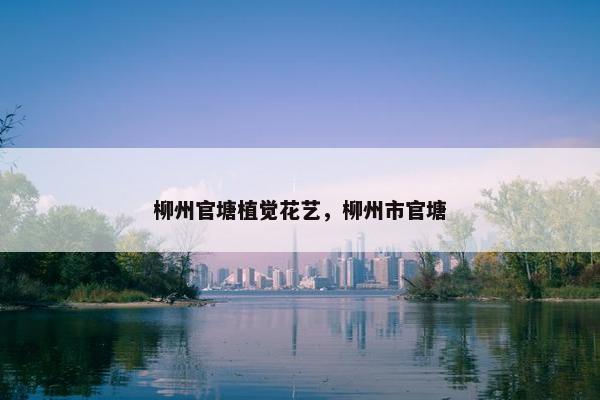 柳州官塘植觉花艺,柳州市官塘 柳州官塘植觉花艺,柳州市官塘