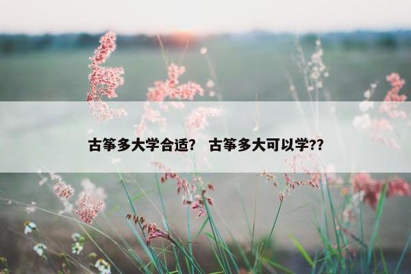 古筝多大学合适? 古筝多大可以学?? 古筝多大学合适? 古筝多大可以学??