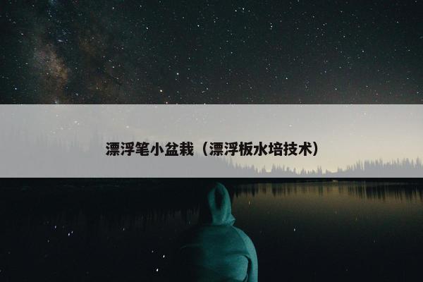 漂浮笔小盆栽（漂浮板水培技术）
