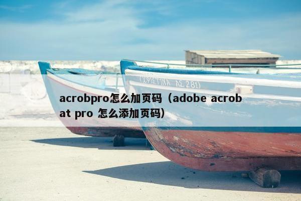 acrobpro怎么加页码(adobe acrobat pro 怎么添加页码) acrobpro怎么加页码(adobe acrobat pro 怎么添加页码)