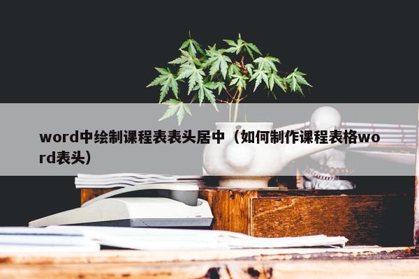 word中绘制课程表表头居中（如何制作课程表格word表头）