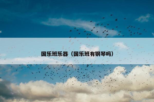 国乐班乐器(国乐班有钢琴吗) 国乐班乐器(国乐班有钢琴吗)