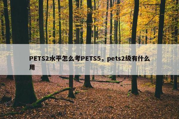 PETS2水平怎么考PETS5，pets2级有什么用