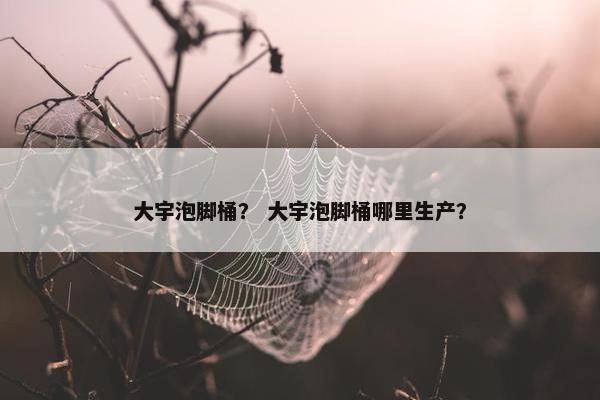 大宇泡脚桶? 大宇泡脚桶哪里生产? 大宇泡脚桶? 大宇泡脚桶哪里生产?