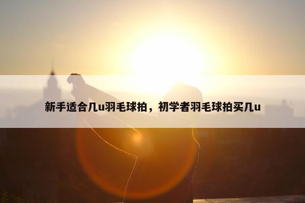 新手适合几u羽毛球拍,初学者羽毛球拍买几u 新手适合几u羽毛球拍,初学者羽毛球拍买几u