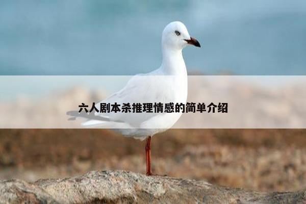 六人剧本杀推理情感的简单介绍