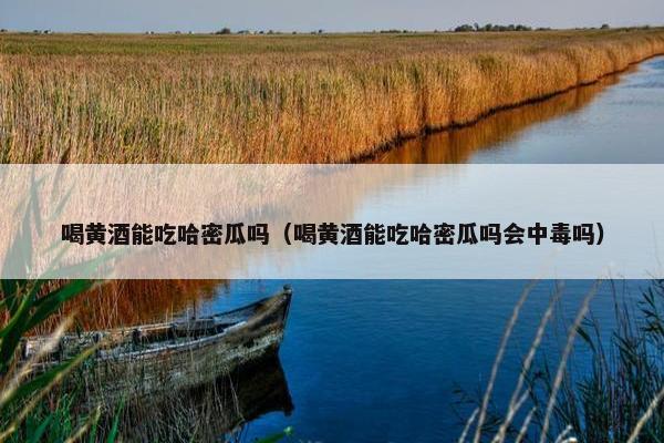 喝黄酒能吃哈密瓜吗(喝黄酒能吃哈密瓜吗会中毒吗) 喝黄酒能吃哈密瓜吗(喝黄酒能吃哈密瓜吗会中毒吗)