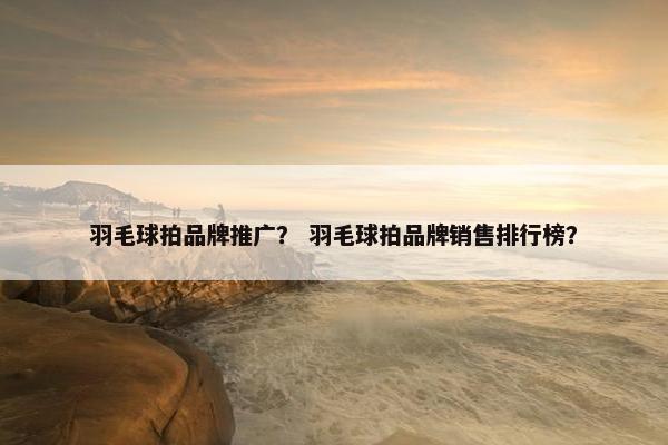 羽毛球拍品牌推广? 羽毛球拍品牌销售排行榜? 羽毛球拍品牌推广? 羽毛球拍品牌销售排行榜?