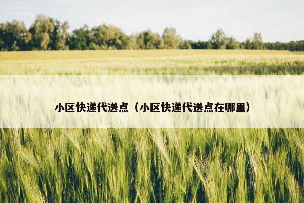 小区快递代送点(小区快递代送点在哪里) 小区快递代送点(小区快递代送点在哪里)