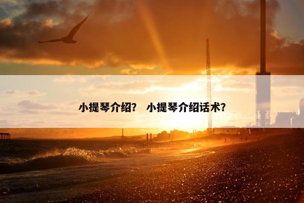 小提琴介绍? 小提琴介绍话术? 小提琴介绍? 小提琴介绍话术?