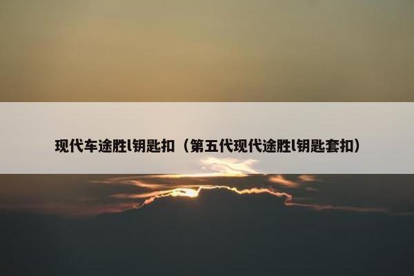 现代车途胜l钥匙扣(第五代现代途胜l钥匙套扣) 现代车途胜l钥匙扣(第五代现代途胜l钥匙套扣)