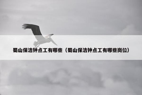 蜀山保洁钟点工有哪些(蜀山保洁钟点工有哪些岗位) 蜀山保洁钟点工有哪些(蜀山保洁钟点工有哪些岗位)