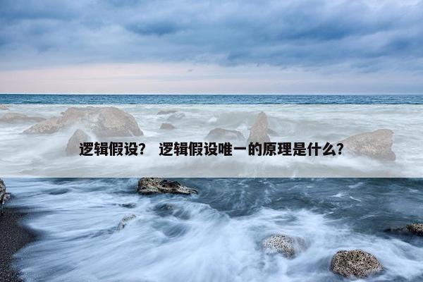 逻辑假设? 逻辑假设唯一的原理是什么? 逻辑假设? 逻辑假设唯一的原理是什么?