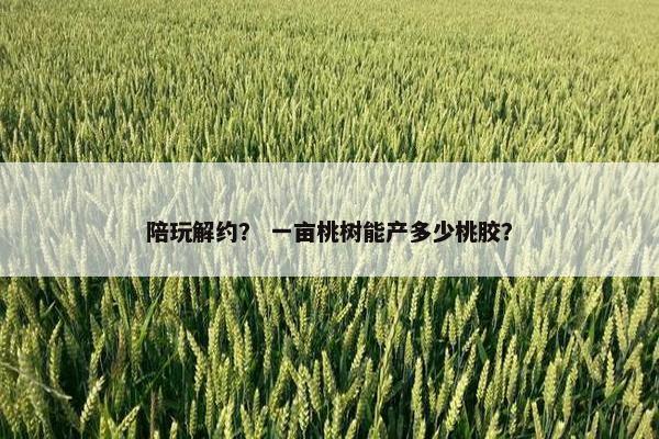 陪玩解约? 一亩桃树能产多少桃胶? 陪玩解约? 一亩桃树能产多少桃胶?