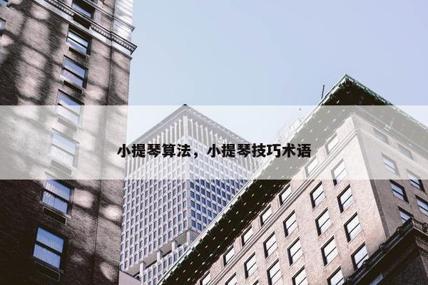 小提琴算法，小提琴技巧术语