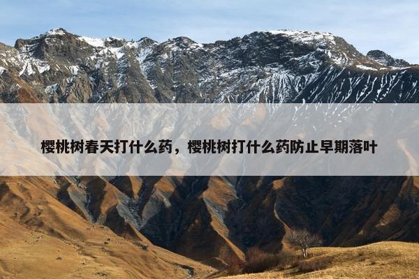 樱桃树春天打什么药，樱桃树打什么药防止早期落叶