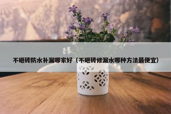 不砸砖防水补漏哪家好（不砸砖修漏水哪种方法最便宜）