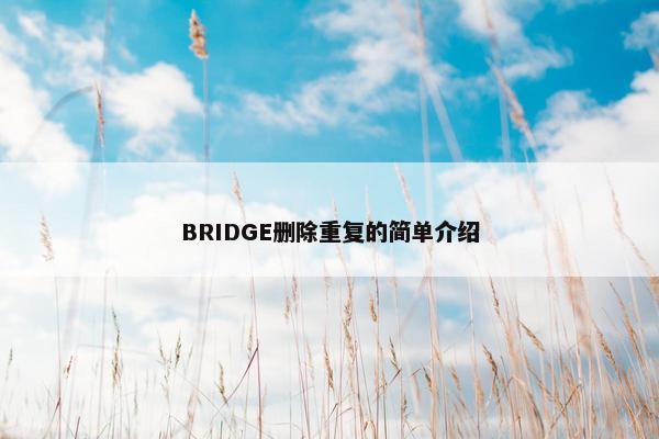 BRIDGE删除重复的简单介绍 BRIDGE删除重复的简单介绍
